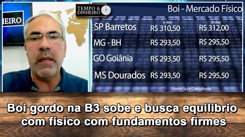 Boi gordo na B3 sobe e busca equilíbrio com físico com fundamentos firmes