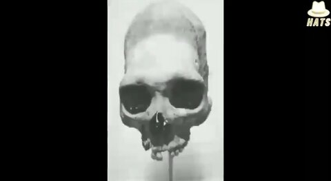 Giants found in Wisconsin: Government Cover-Up