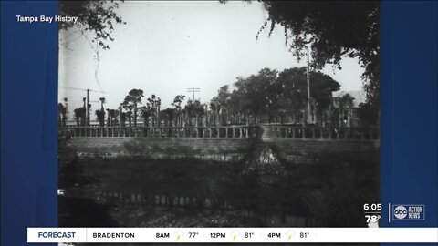 Palma Ceia history