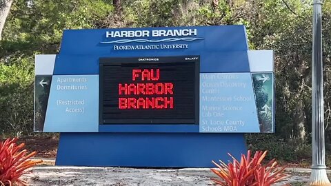 FAU campuses beyond Boca Raton cheer on Owls as they head to Final Four