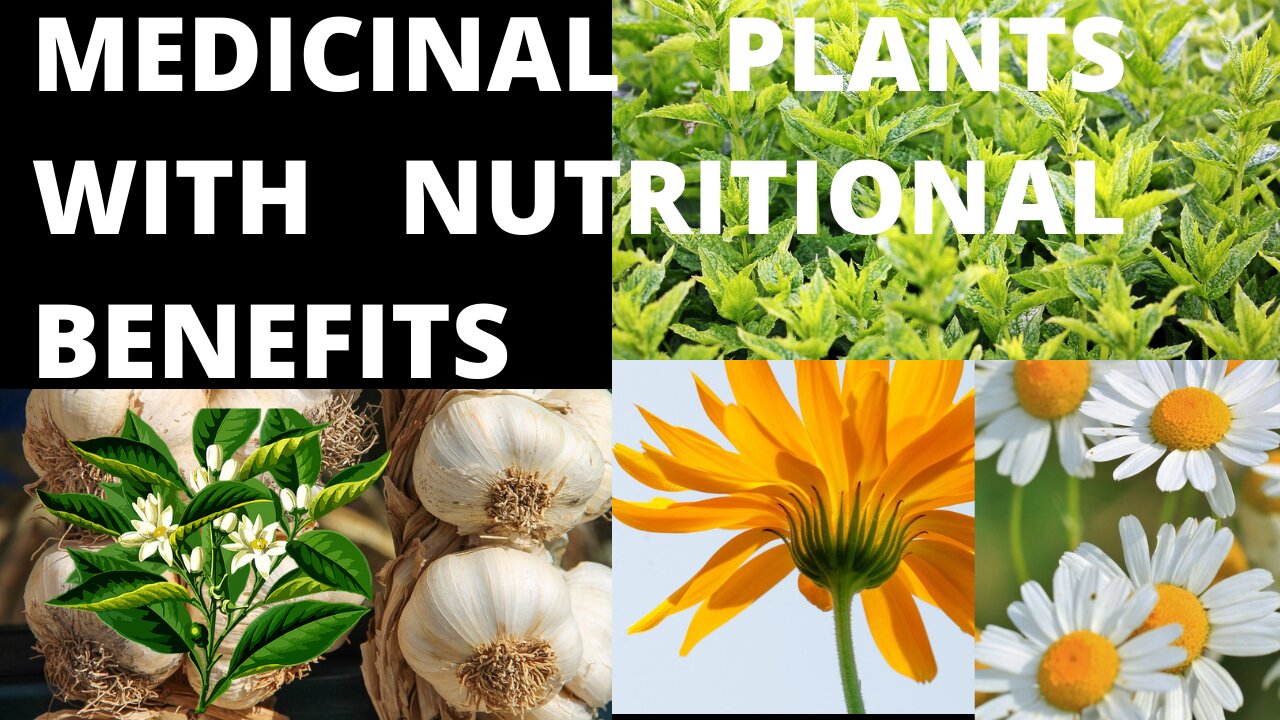 40 Medicinal Plants with Nutritional Benefits You Must Grow at Your Home