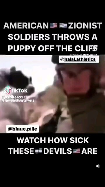 American zionist soldiers throws a puppy off the cliff watch how sick these devils are.