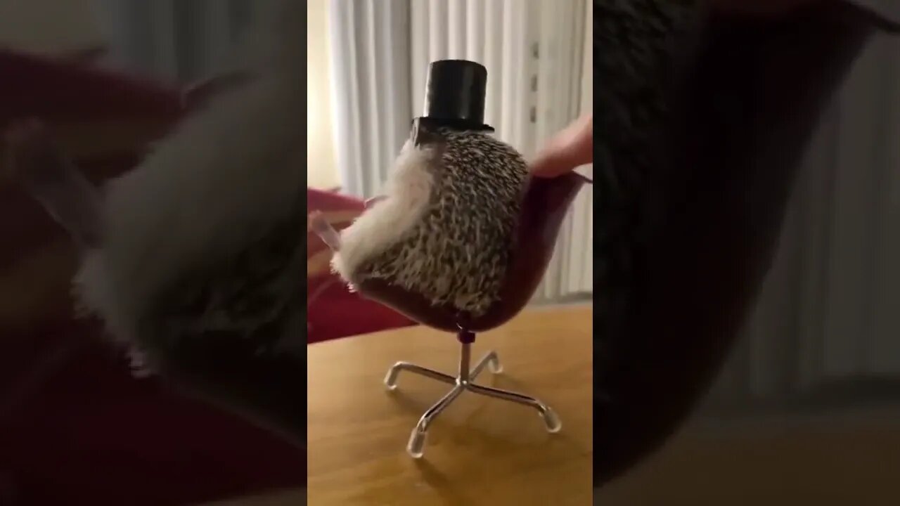 O PODEROSO CHEFÃO 😂😂😂 #shorts