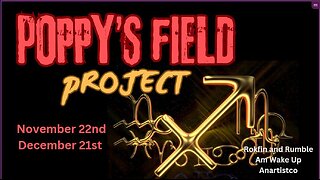 Poppy's Field Project 11/27/24