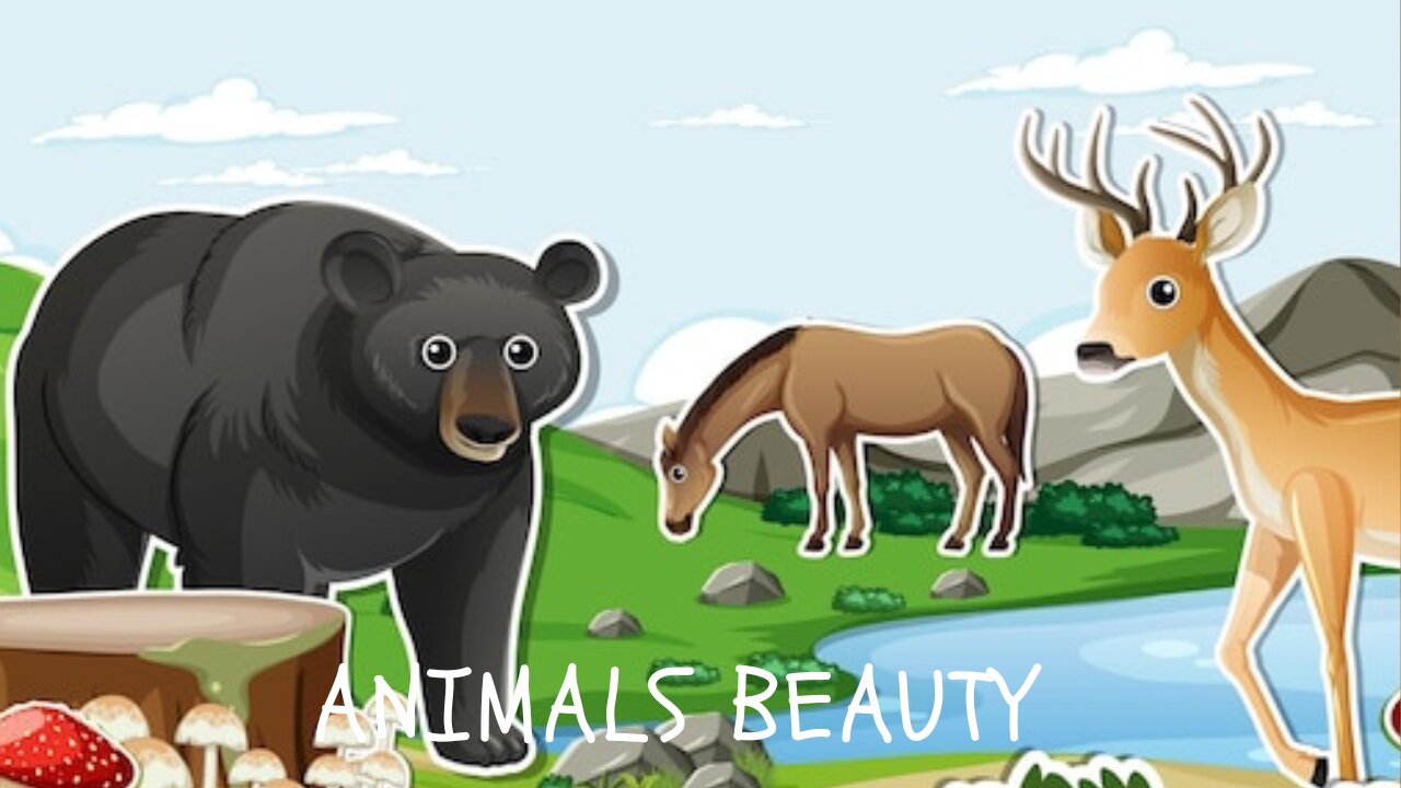 Animals Beauty