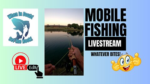 Pond Fly Fishing For Bass Revisited aka Whatever Bites (Edited) #mobile #fishing #livestream