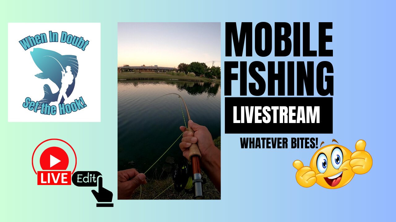 Pond Fly Fishing For Bass Revisited aka Whatever Bites (Edited) #mobile #fishing #livestream