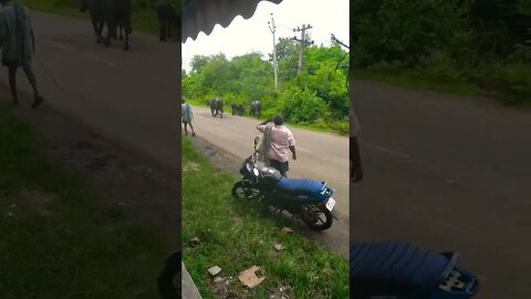 pushpa 2