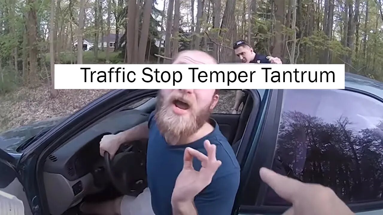 Traffic Stop Tantrum (Defense Attorney Explains)