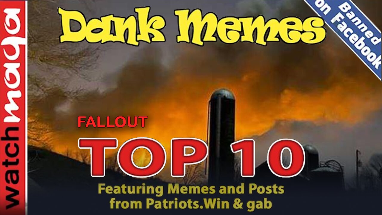 Fallout: TOP 10 MEMES