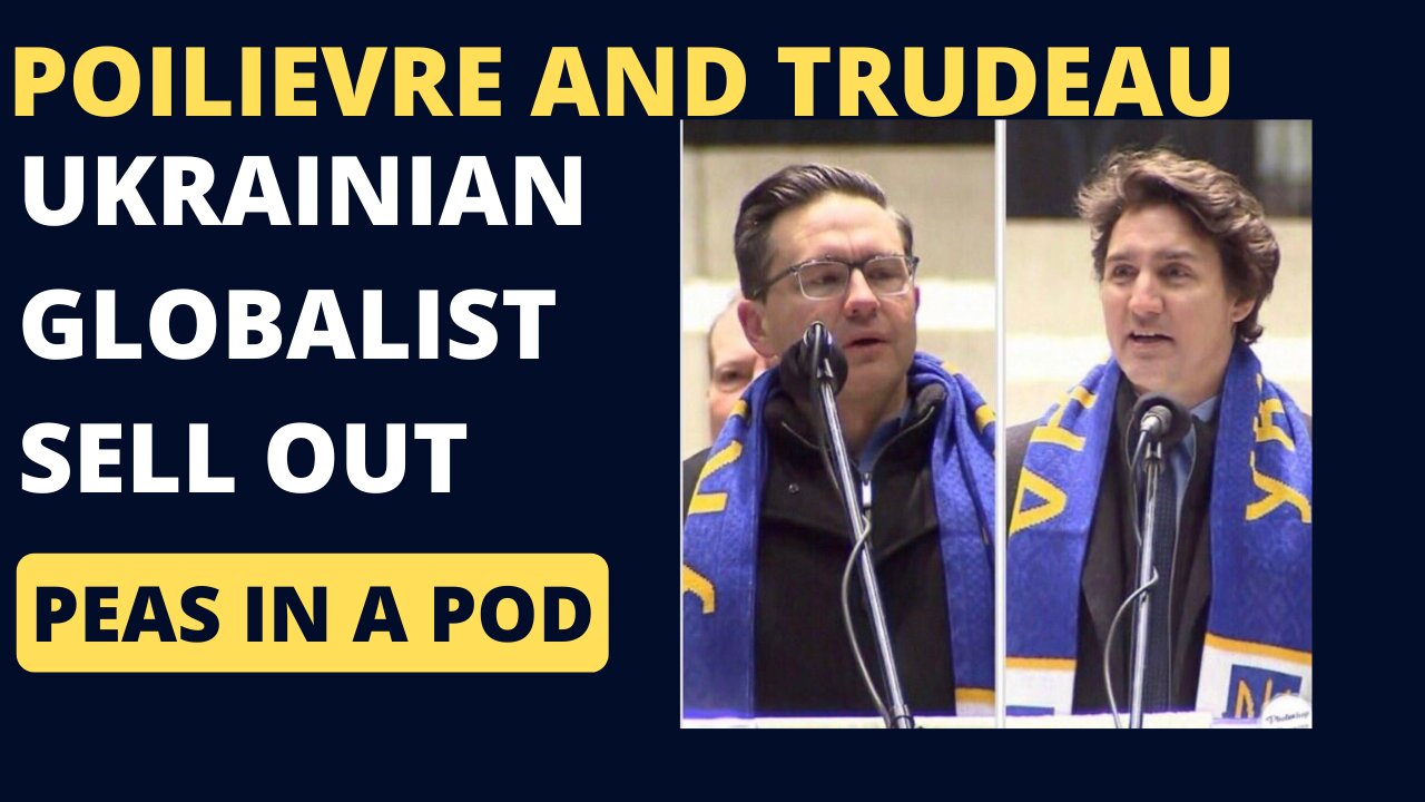 Chinese Interference and Poilievre's Insult