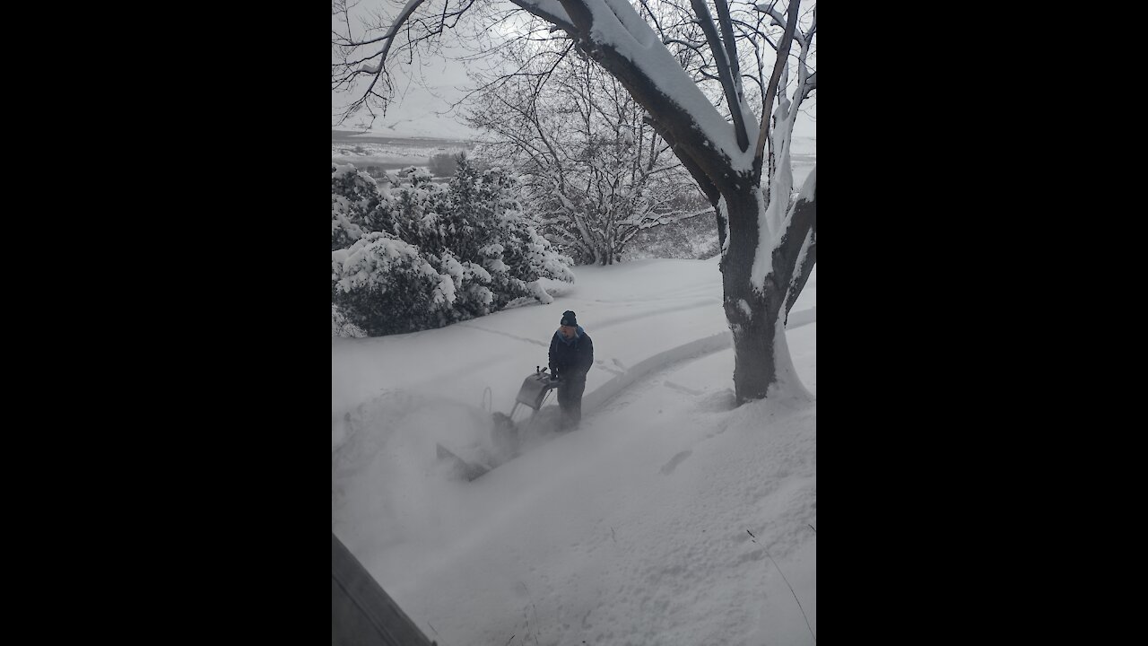 Jan. 6th, 2022 Snowday