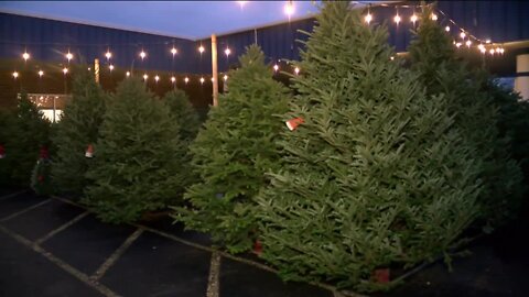 Slinger sisters operate Christmas tree lot with a story straight out of a Hallmark movie