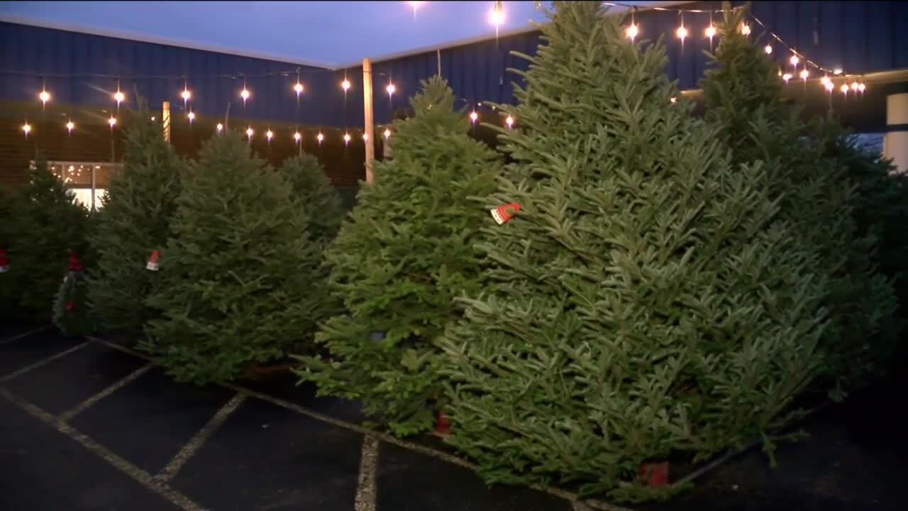 Slinger sisters operate Christmas tree lot with a story straight out of a Hallmark movie