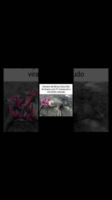 memes em imagens #114 Menino bate na mãe #shorts