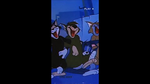 Tom and Jerry: Tom Cat Friends