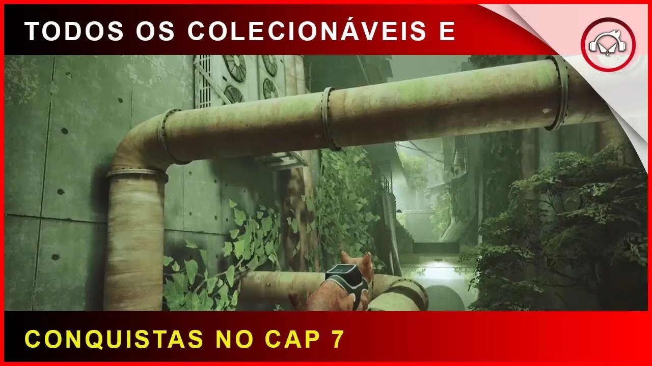 Stray, Como conseguir todos os colecionáveis e conquistas no cap 7 | Super-dica