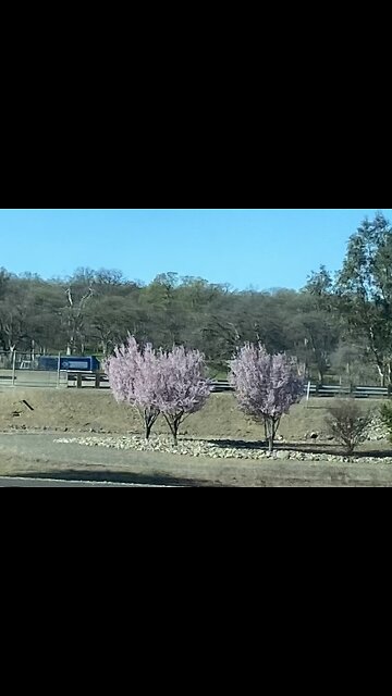 Feb 4 another workday