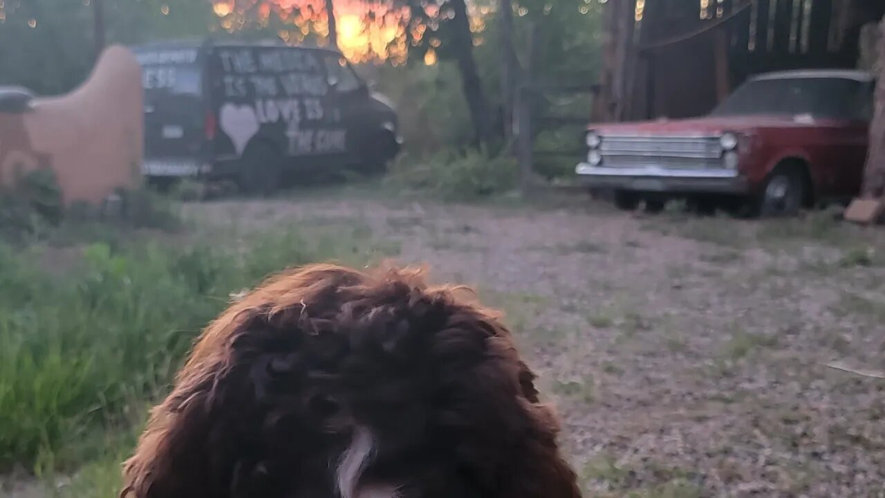 Gypsy Wagon Day 4 Live ( Unburying Of Front End ) Taos NM