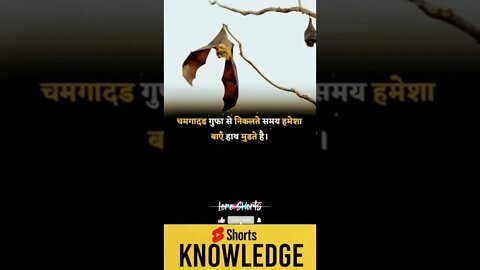 Motivational Quotes Intresting Facts lifestyle & research #shorts #ytshorts #knowledge #motivation