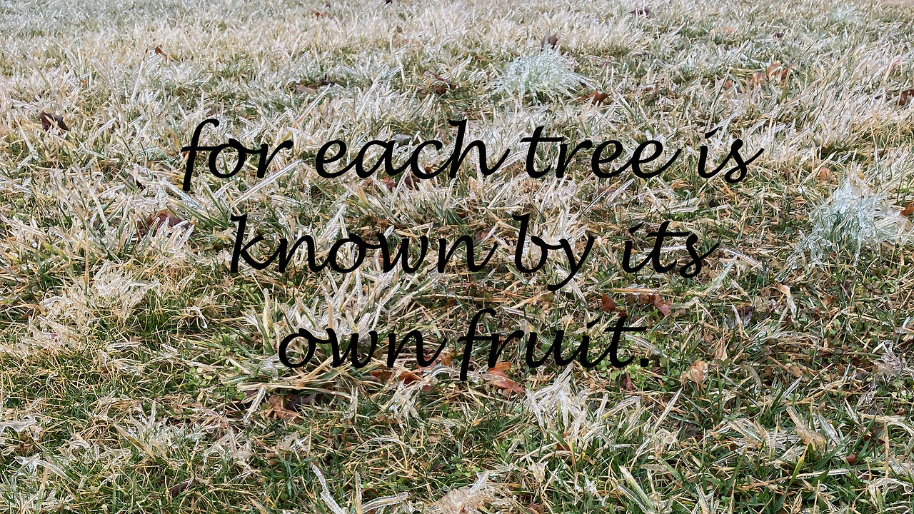 For Each Tree is Known by Its Fruit. Luke 6: 43- 45