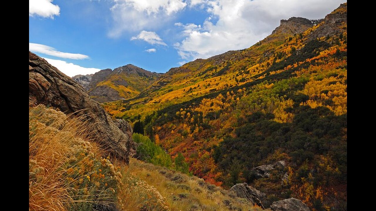 Late Summer From The Nevada Desert