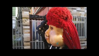 O MELHOR, DOS REIS DOS PASSINHOS, DA CARRETA DA ALEGRIA, DANÇANDO FOFÃO, CHAVES E O MÁSKARA 6