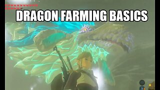 Zelda BOTW Dragon Farming Basics