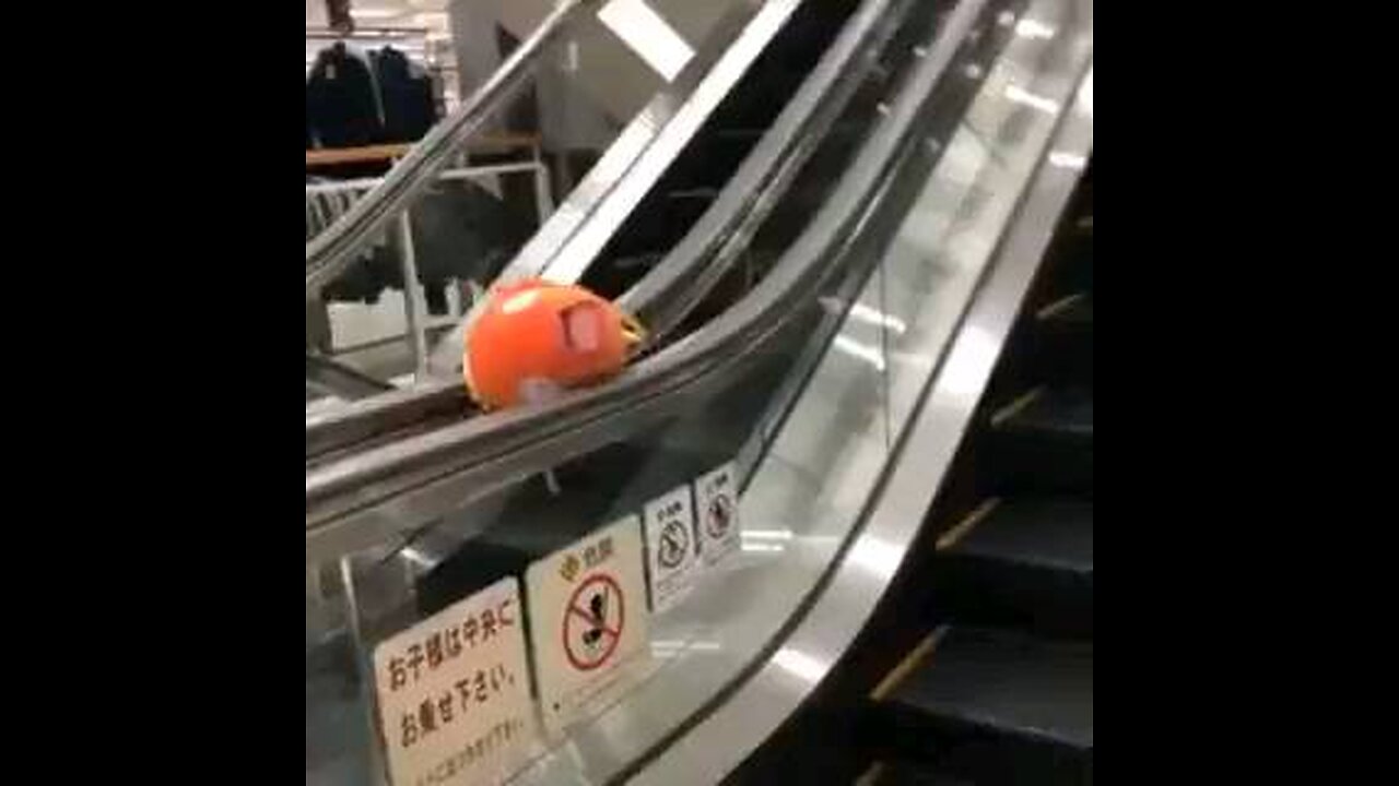 Spinning Magikarp