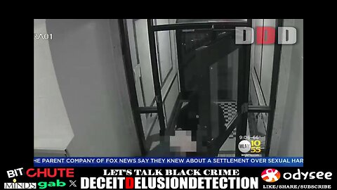 81 Year-Old Elderly White Female Brutally Beaten & Robbed By Black Perpetrator