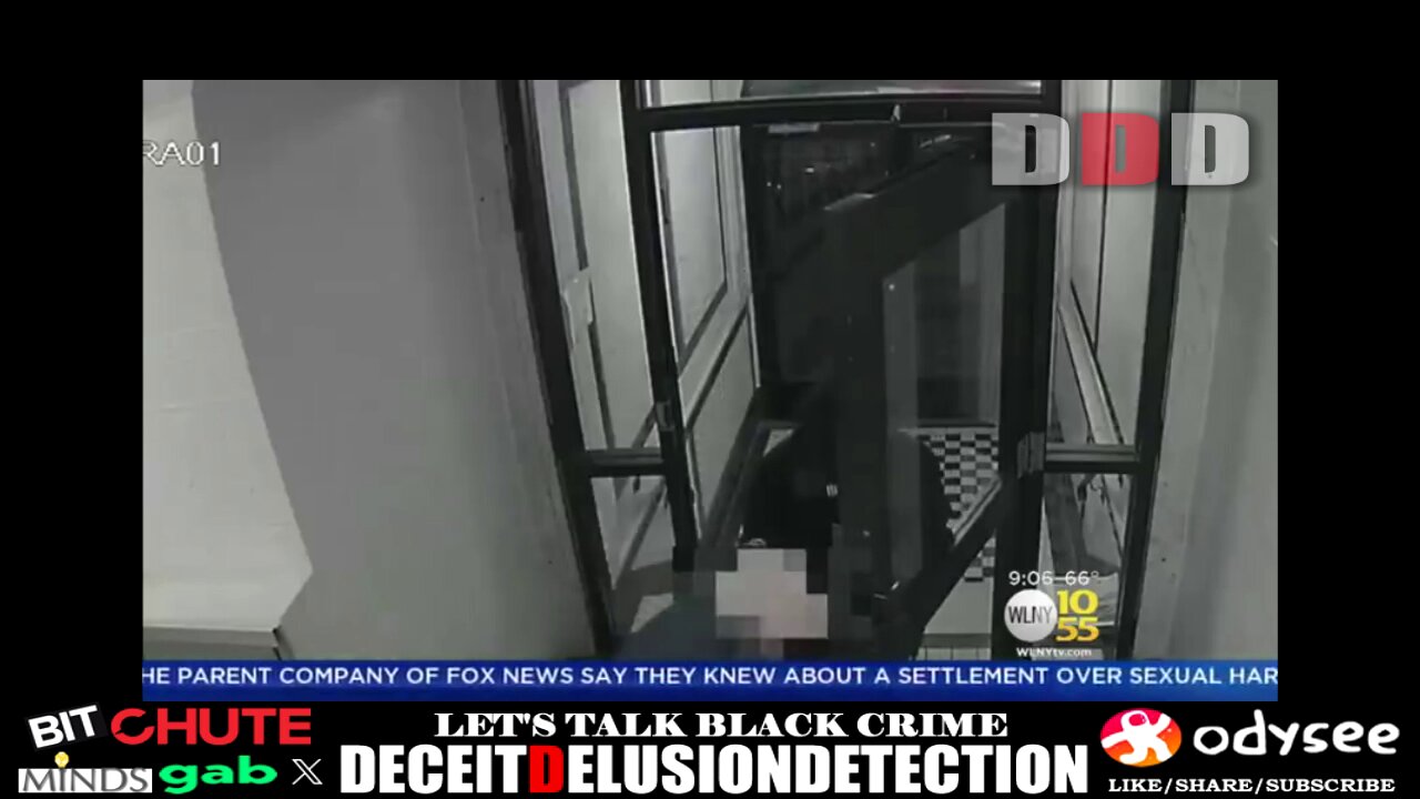 81 Year-Old Elderly White Female Brutally Beaten & Robbed By Black Perpetrator