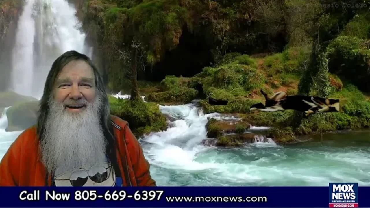 WE DO NOT FORGIVE! WE DO NOT FORGET! EXPECT US! LIVE SELF-QUARANTINING DAY 31! CALL NOW!