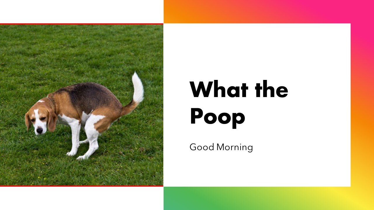 Morning Coffee and What the Poop LOL