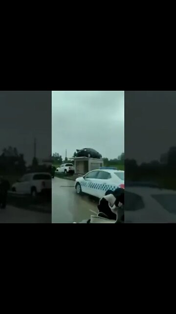 Still Scratching My Head #shorts