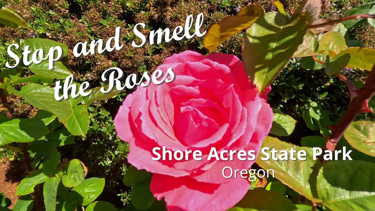 Shore Acres State Park, Coos Bay, Oregon