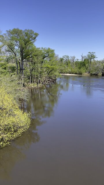 Chipola River Fla