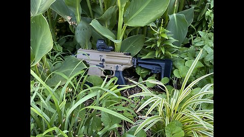 Sig Sauer MPX Copperhead