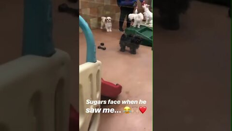 Excited to be picked up from day-care