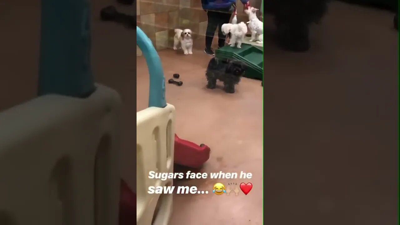 Excited to be picked up from day-care