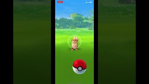 Pokémon Go - Catching Growlithe Gameplay #Shorts