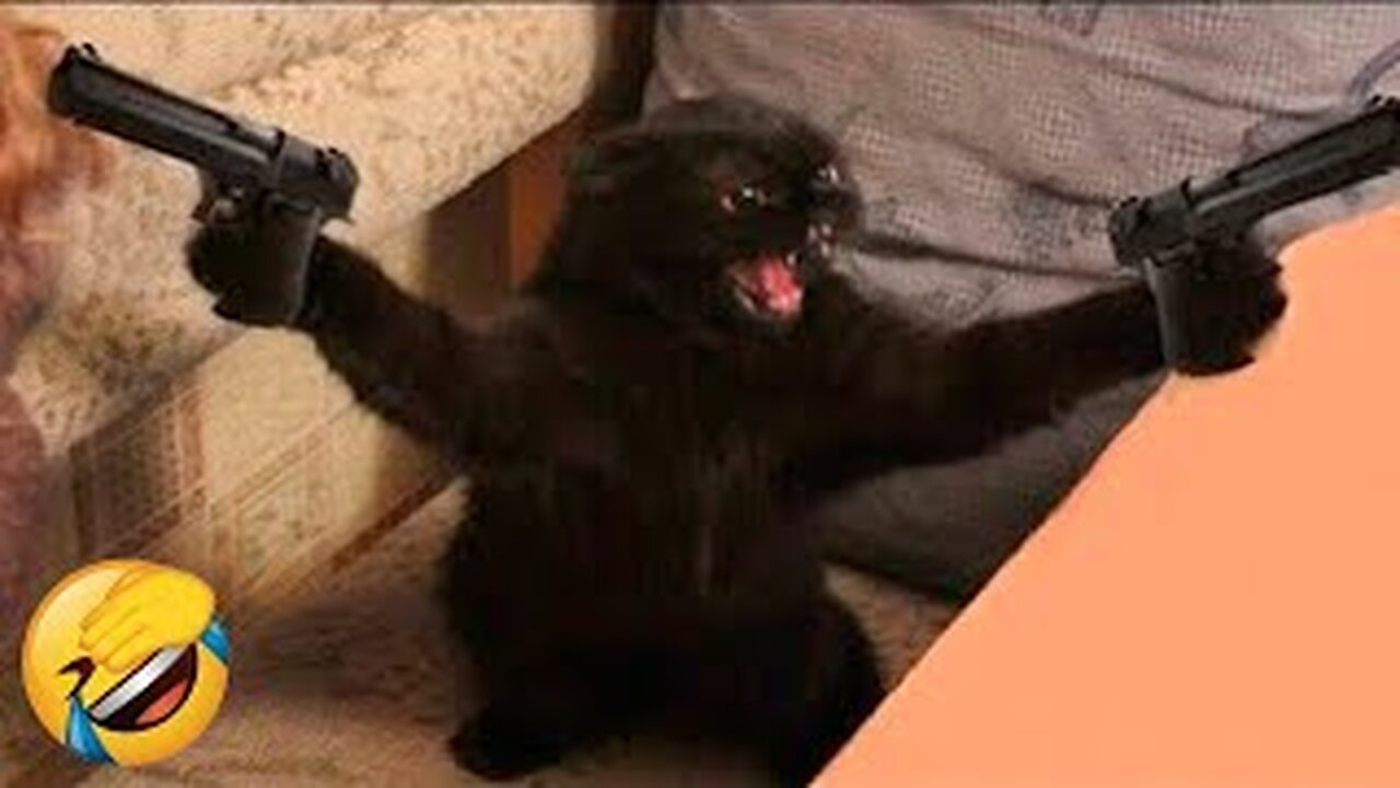 Best Funny Animal Videos Of The 2022 π€£ - Funniest Cats And Dogs Videos πΊπ