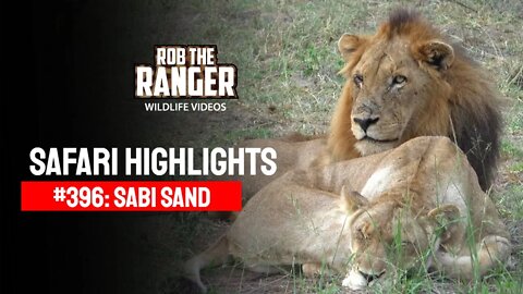 Safari Highlights #396: 02 - 05 April 2016 | Sabi Sand Wildtuin | Latest Wildlife Sightings