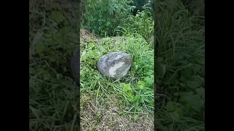 So Close, Yet So Far