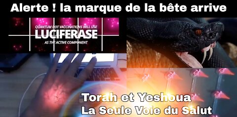 🚨💉💥 Alerte ! la marque de la bête arrive - Torah et Yeshoua La Seule Voie du Salut