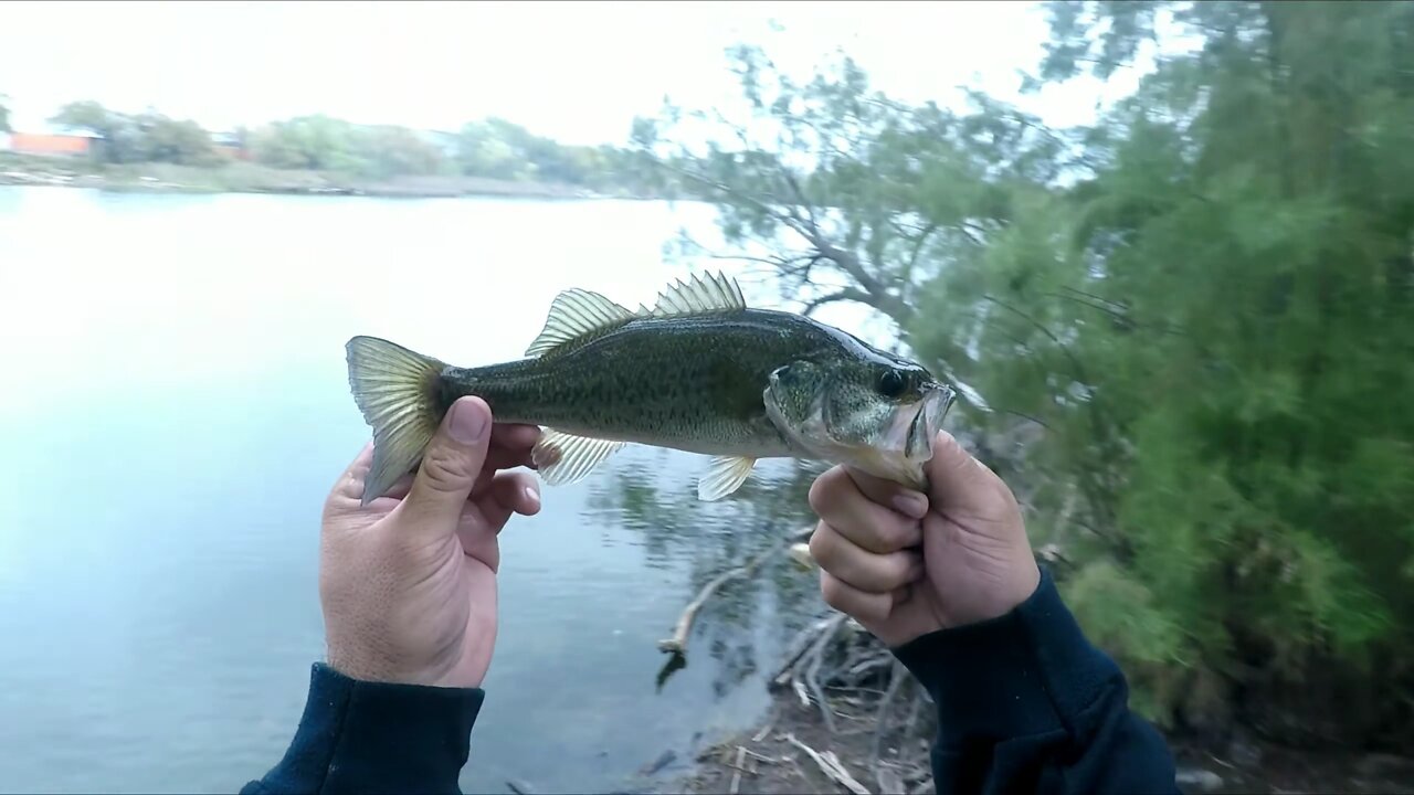 Shaky Head Fishing - (@Bass #Underground - Part 2)