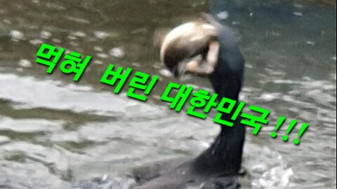 240411... #자유화운동 전쟁 시작 ... 나와너와 자유영혼 이 승리한다... 익득도사익득스승...