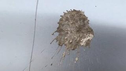 Did an airplane drop poop over a Burnsville MN neighborhood?