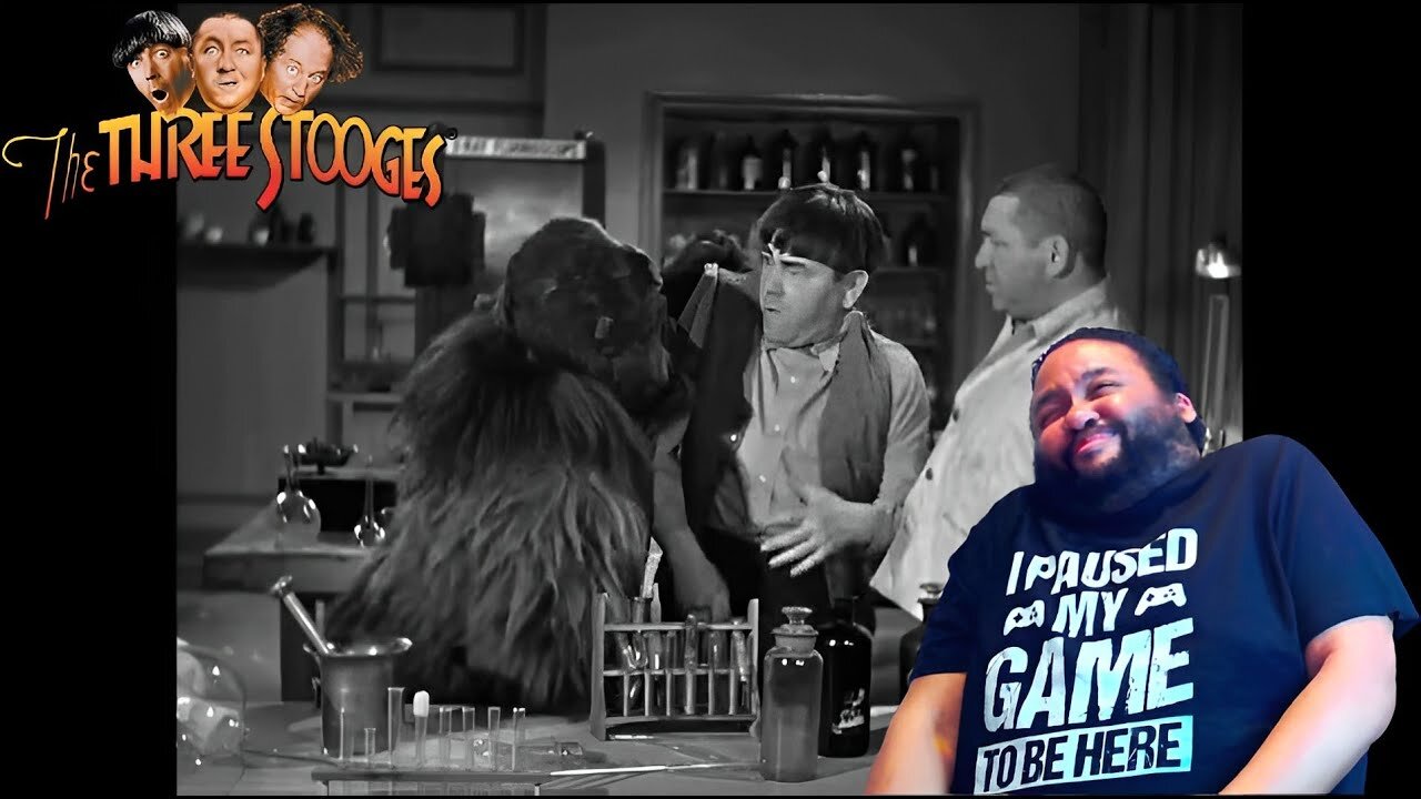 Curly Got A Dangerous Friend _ The Three Stooges Ep 89 A Bird In The Head _ Reaction