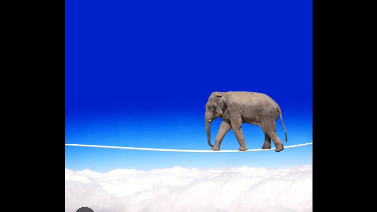 Dare to Watch?; Don't Try This at Home