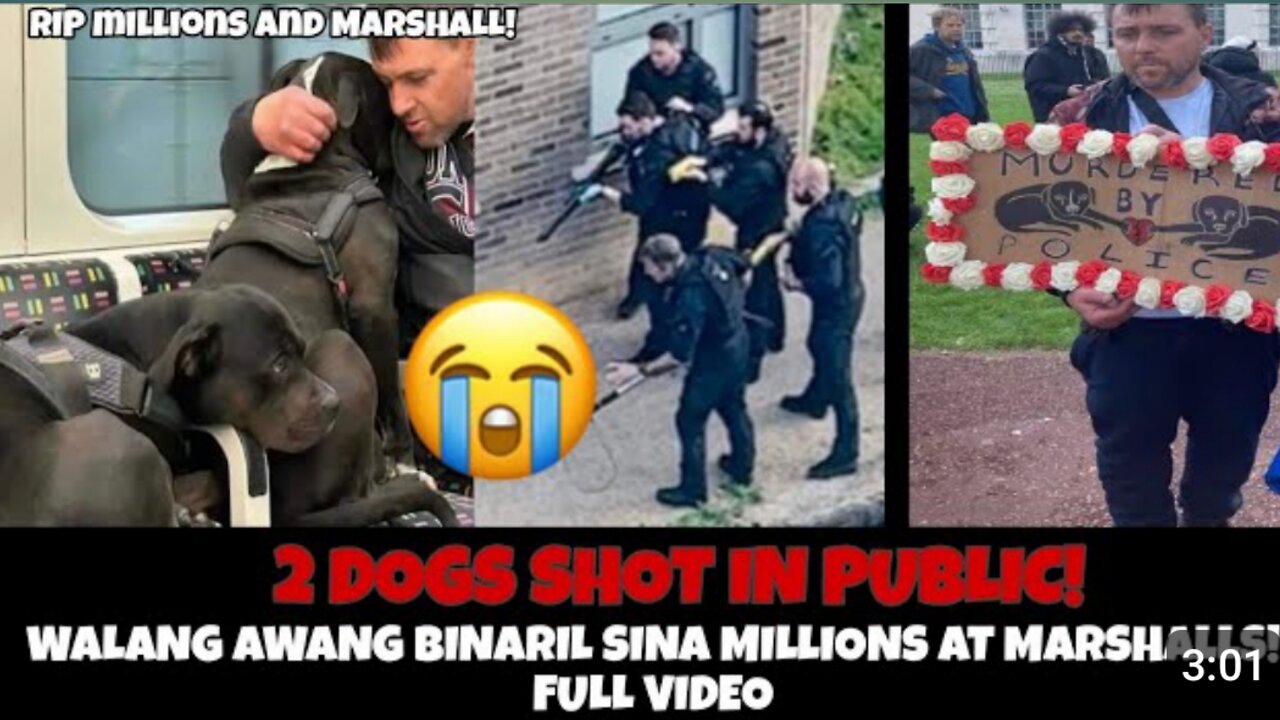 MILLIONS AND MARSHALL DOGS DEATH FULL VIDEO MILLIONS AND MARSHALL PETITION